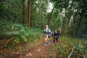 BIB: 
                            <button type="button" onclick="openModal(22482391)" class="btn btn-primary btn-sm float-right btn-popup" data-toggle="modal" data-target=".modal-high-quality">
                        <i class="fas fa-shopping-cart"></i> Add to Cart
                    </button>
                                            <button type="button" onclick="isThisMe(22482391, true)" class="btn btn-success btn-sm float-right btn-popup btn-isme hidden" data-toggle="tooltip" data-placement="bottom" title="นี่คือรูปของคุณใช่ไหม คลิกที่นี่เพื่อเอาเข้าอัลบั้ม">
                        <i class="fas fa-plus"></i> Add to album
                    </button>
                    <button type="button" onclick="isThisMe(22482391, false)" class="btn btn-warning btn-sm float-right btn-popup btn-isnotme hidden">
                        <i class="fas fa-ban"></i> Remove from album
                    </button>